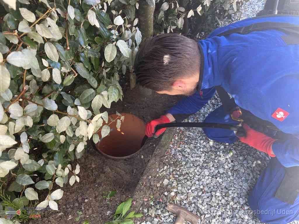 Rioolvliegjes Uden